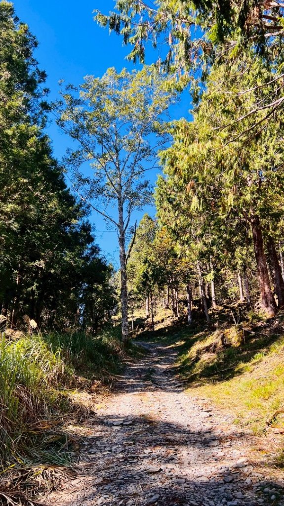 三星山(小百岳#85) 鳩之澤溫泉煮蛋趣_2952844