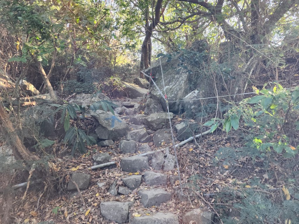 小百岳No.80⛰里龍山_2776319