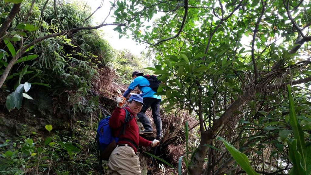 【春夏之際】北八斗山東南峰、北八斗山稜線之環形山海饗宴_18137