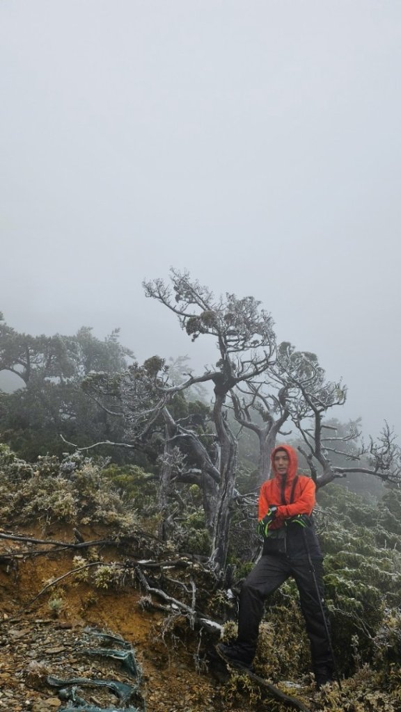 20250319～20嘉明湖國家步道🥶🥶🥶殘念😭_2739749