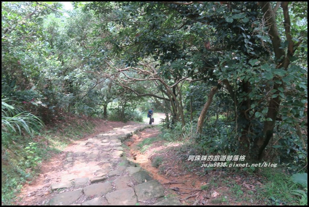 南子吝步道。360度無敵山海美景_394674