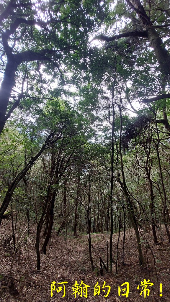 高島縱走_2687009