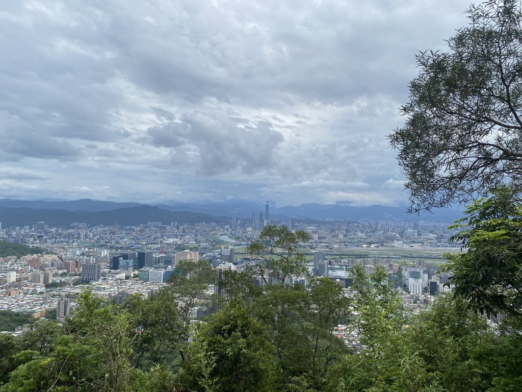 20240519金面山親山步道_2508068