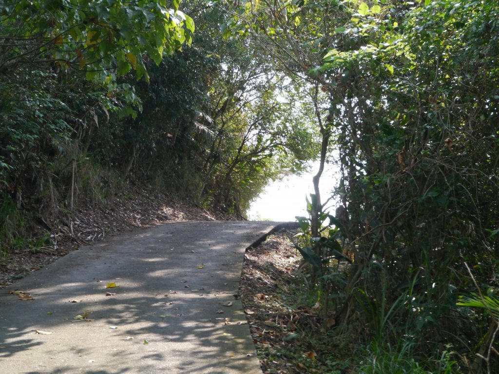 頂岩灣四格山步道_1324194