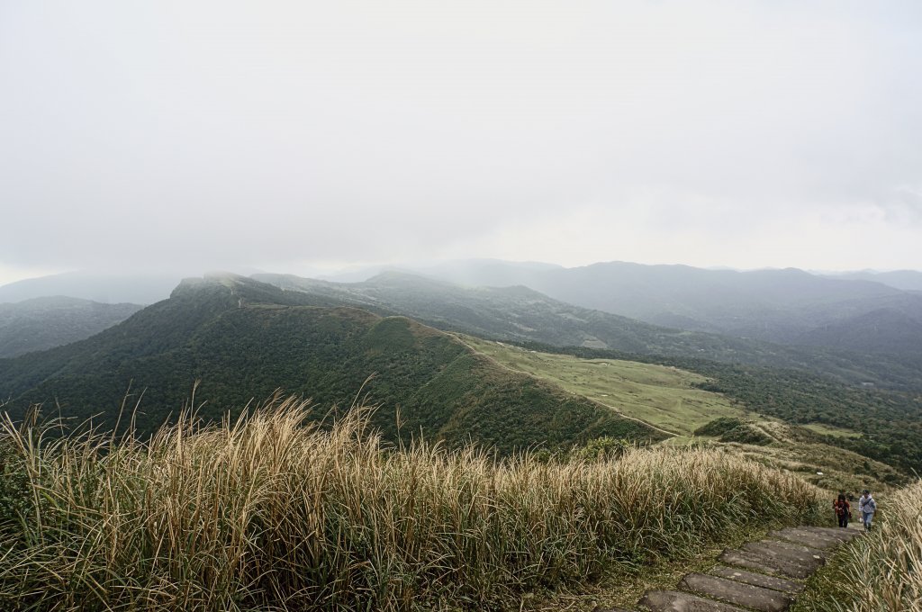 灣坑頭山 桃源谷步道 連走_2034821