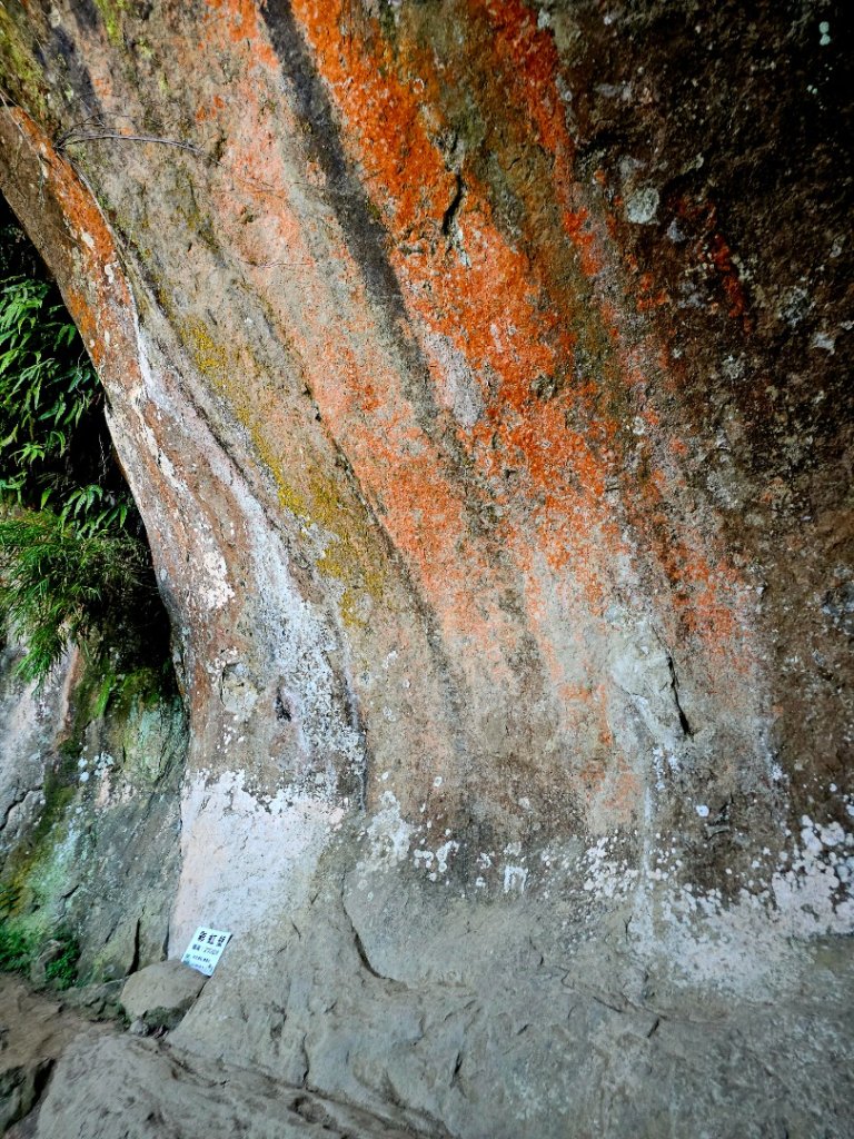 (鳶山山系)鳶山彩壁-2025微笑山線大縱走尋寶集章任務_2855207
