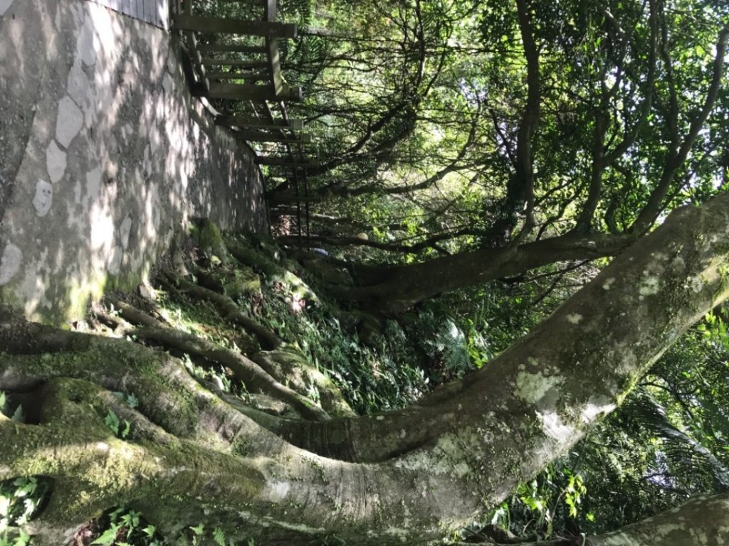 五峰旗瀑布步道_2115167