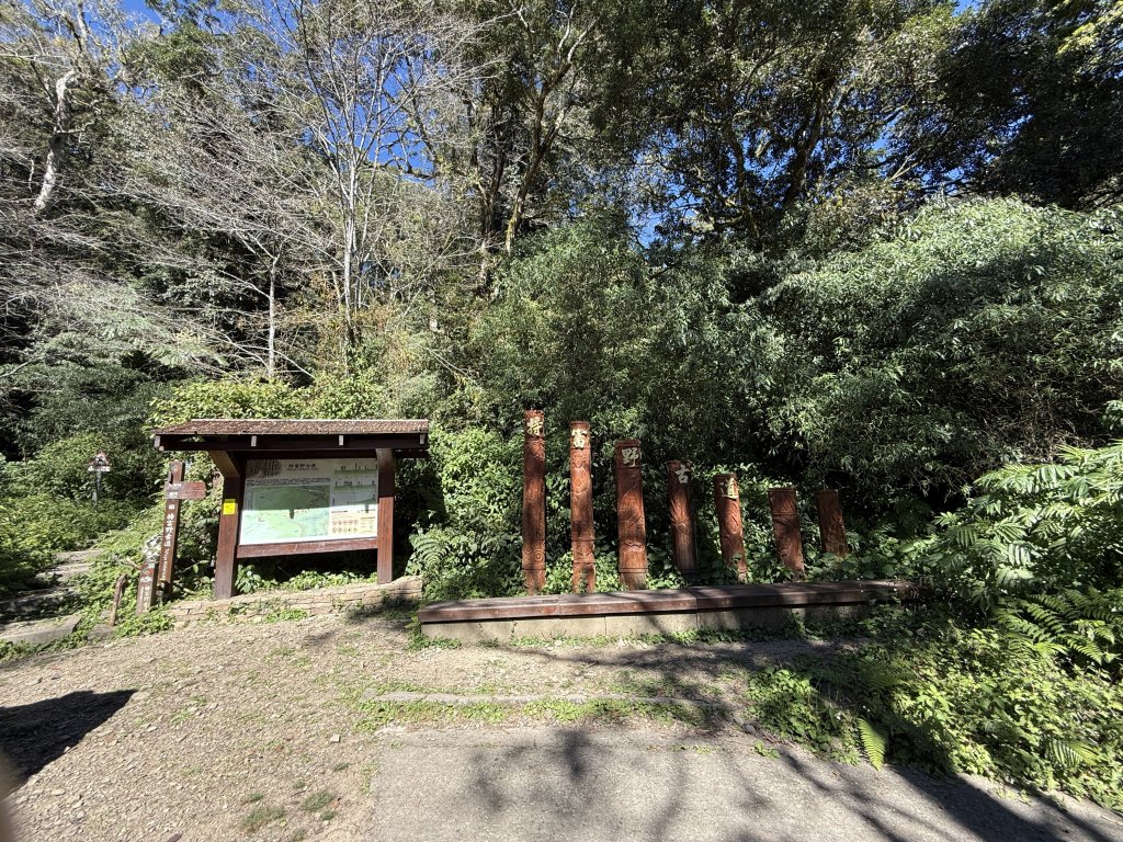 特富野古道_2666647