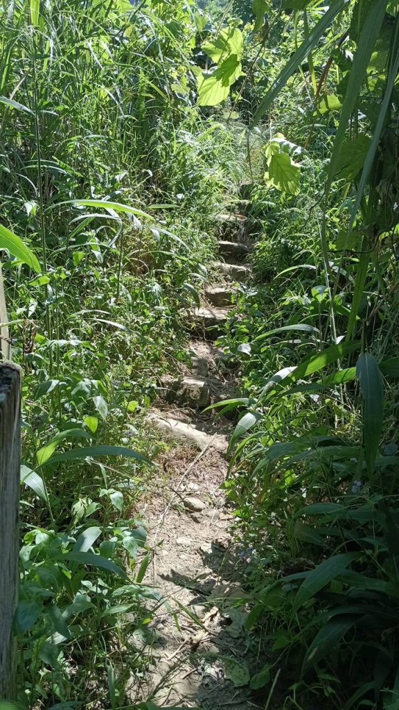 20251004 馬那邦山 - 珠湖 登山口_2904875