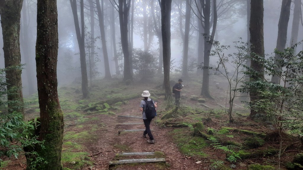 《台中》迷霧巨木為伴｜走訪大雪山船型山20210904_1454229