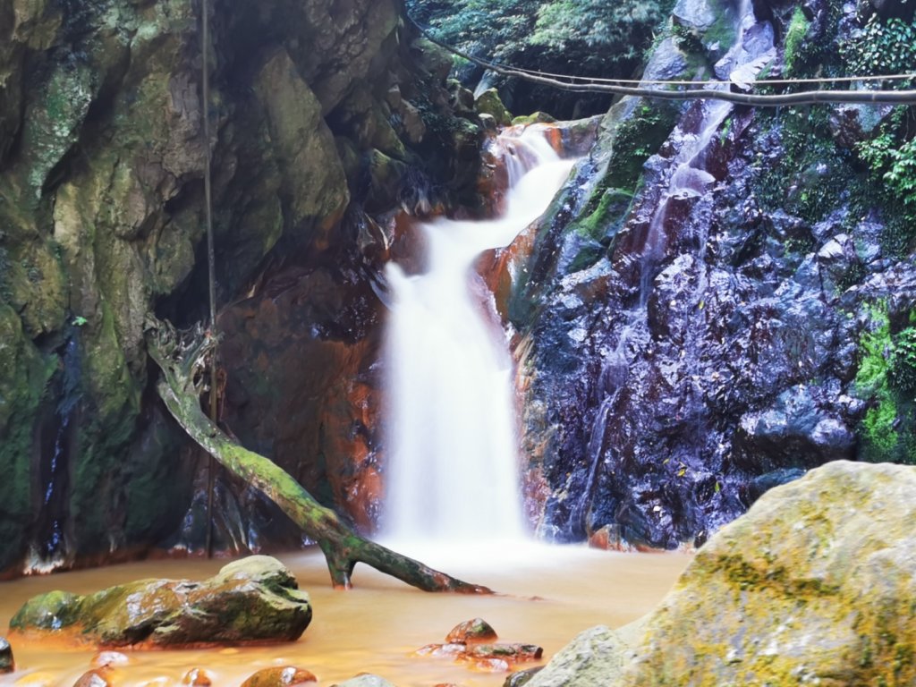 北市隱藏版黃金瀑布_1786287