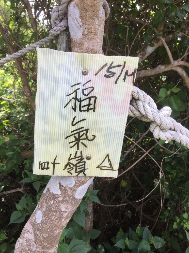 20220730高雄觀音山連峰_1785468