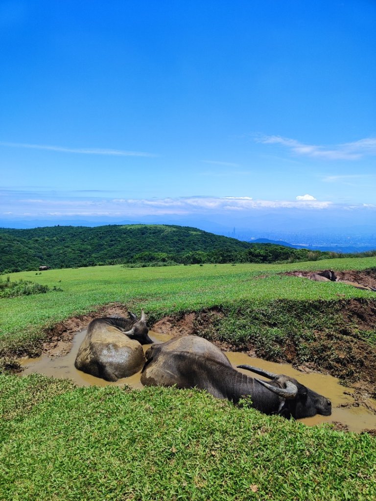 2025台北大縱走二刷封面圖