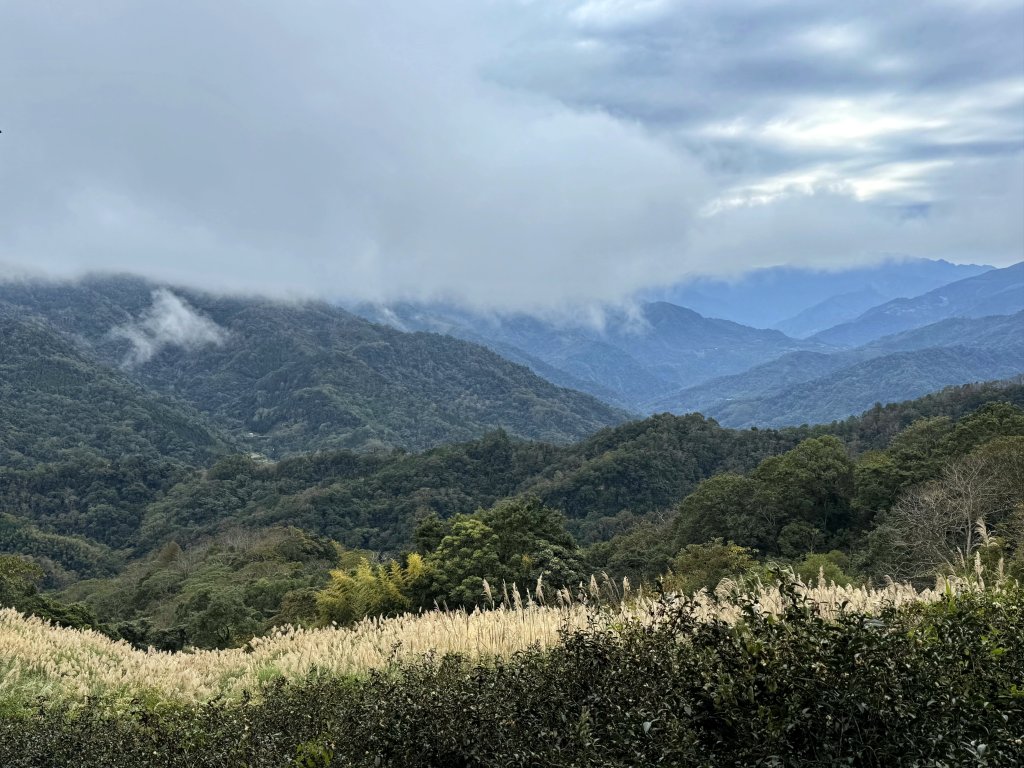 大山背山+騎龍山O繞2025.12.28_2979491