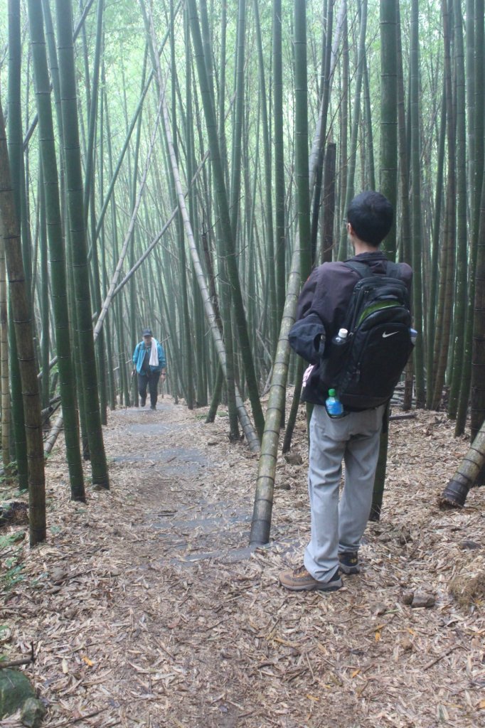 20211113嘉義石壁山-好望角-嘉南雲峰_1517175