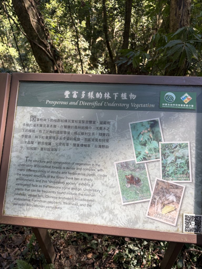 20251221嘉南雲峰、石壁山登山步道_2968170