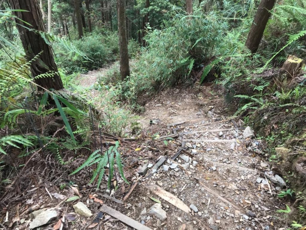 春陽灼灼上八仙_332765