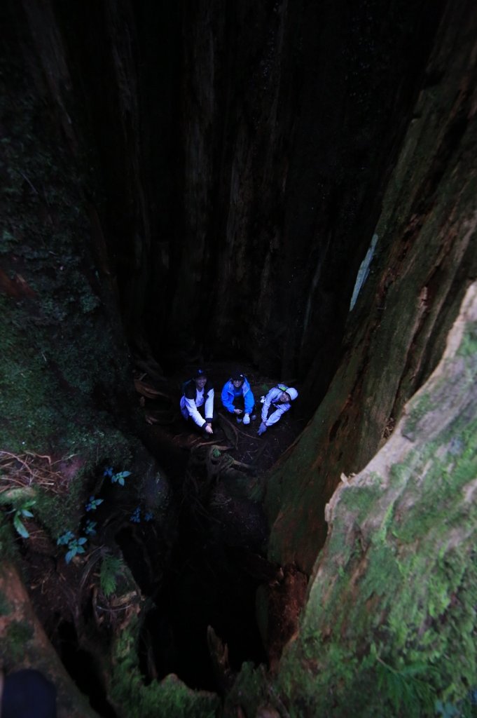 水樣森林 第一次在山裡過夜_659205