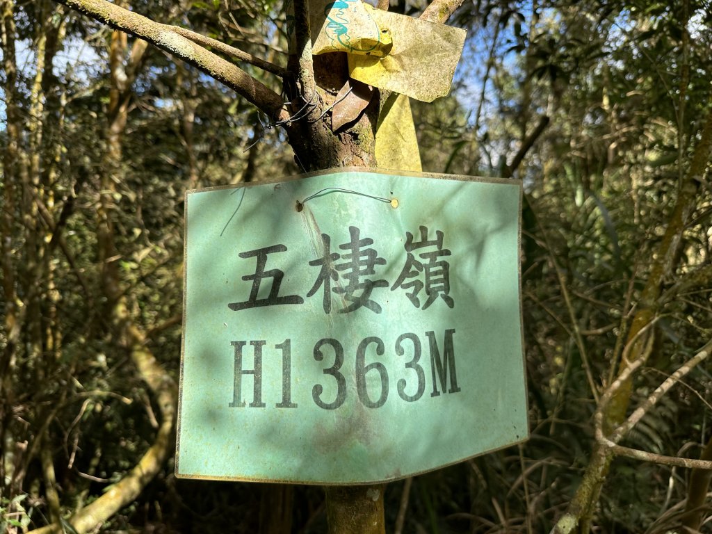 竹崎十三連峰 (阿里山四大天王越野賽路線)_1932731