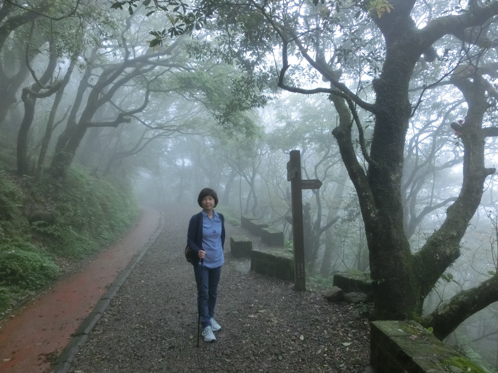 二子坪．大屯自然公園_93815