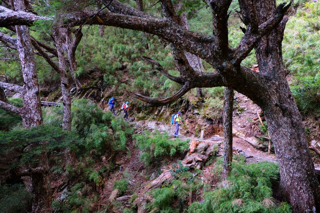 石頭堆疊成的百岳...玉山東峰_175765