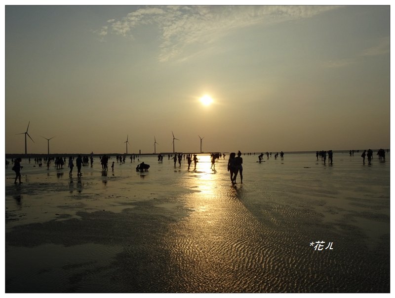 高美濕地木棧道_878008