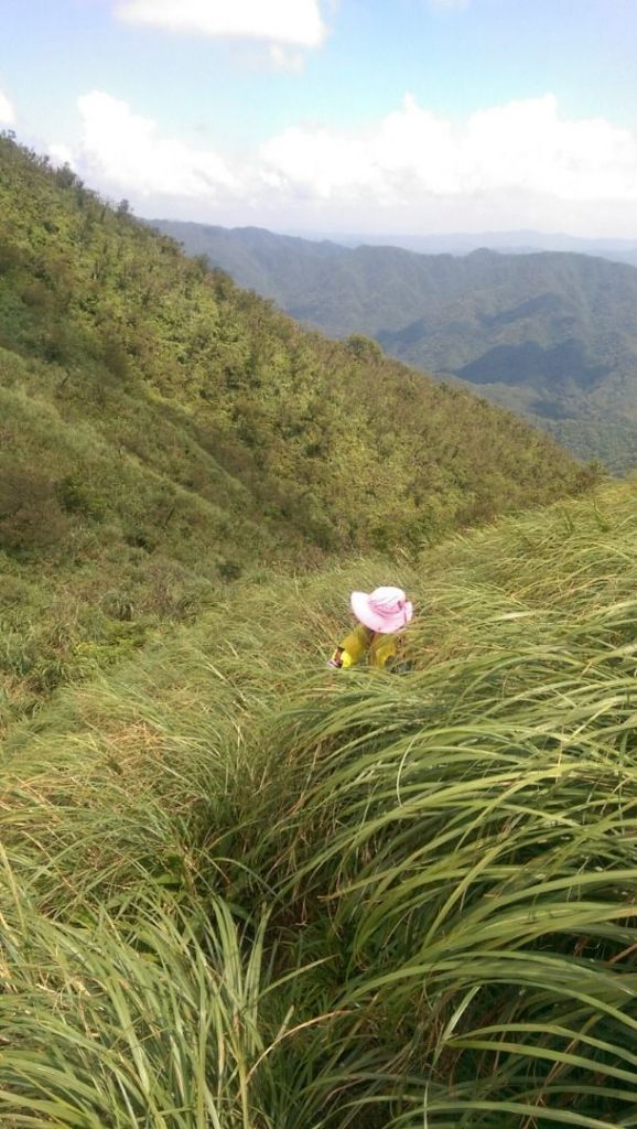 107.07.28宜蘭頭城鶯子嶺_373480