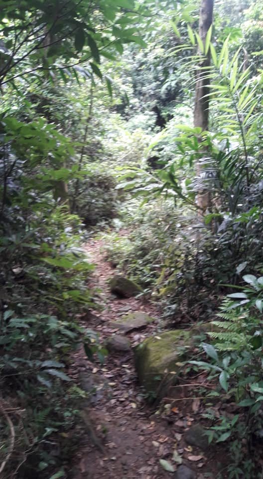 青山瀑布步道_818980