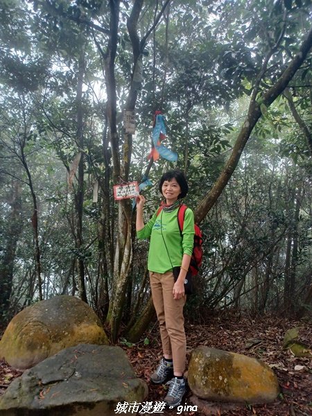 【苗栗銅鑼】健行賞花兩相宜。 銅鑼雙峰山x2023杭菊花季_2355247