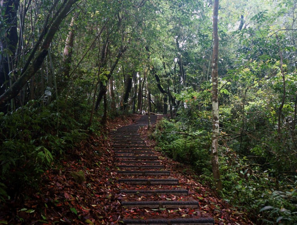 關刀山步道_1348697