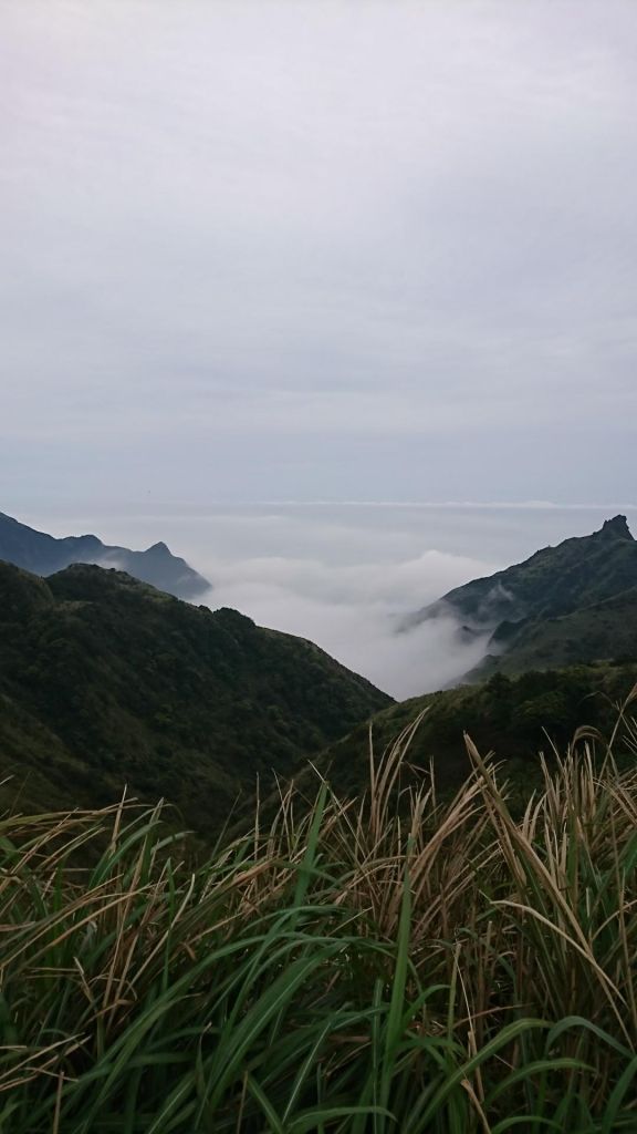 雲霧中的燦光寮山_273231