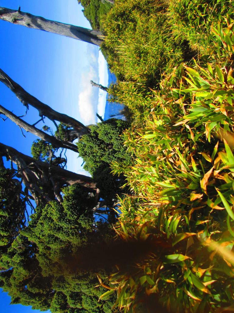 2017南湖群峰_228364