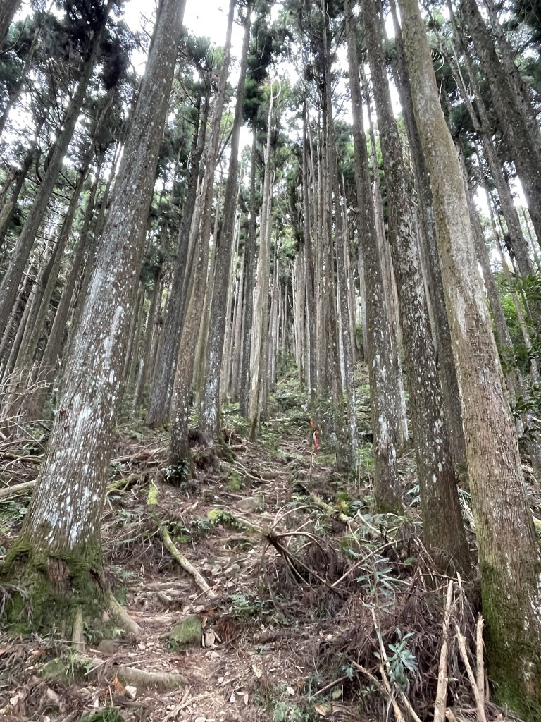 比大鳥縱走_1896060