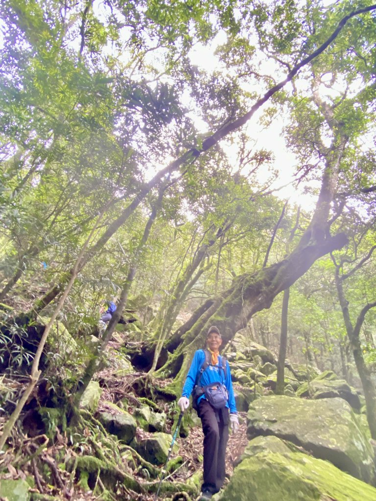 探訪鳶嘴鐵達尼石    2024.6.26_2537497