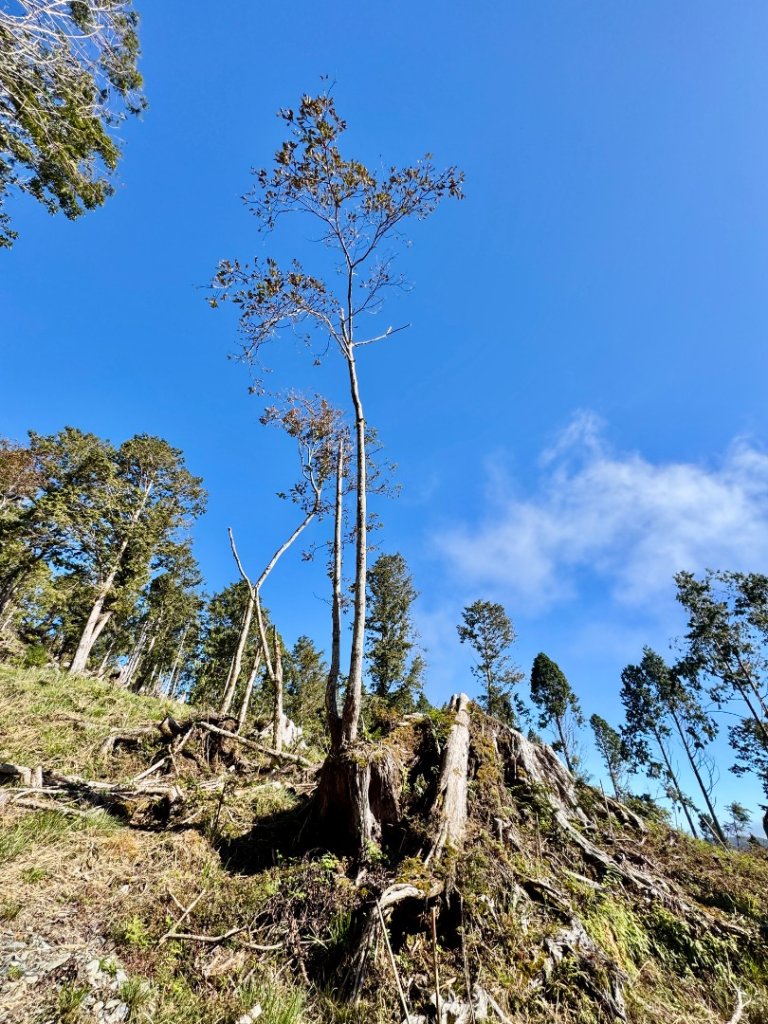三星山(小百岳#85) 鳩之澤溫泉煮蛋趣_2952820