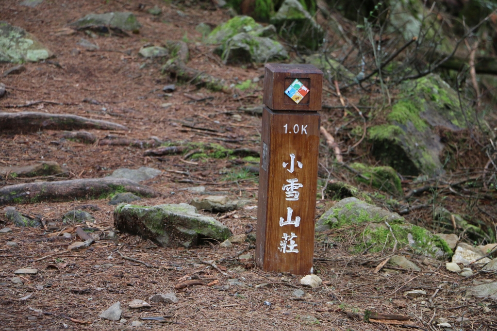 2015-09-26大雪山森林遊樂區_22044