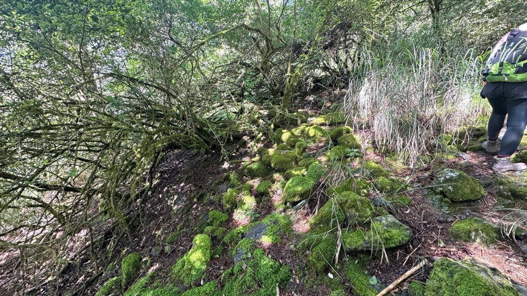 觀雪縱走_2836067