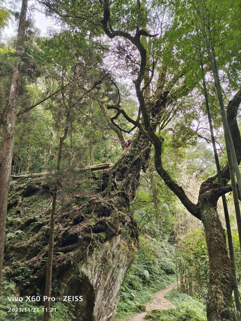 20211121雲之道霹靂山大凍山_1618501