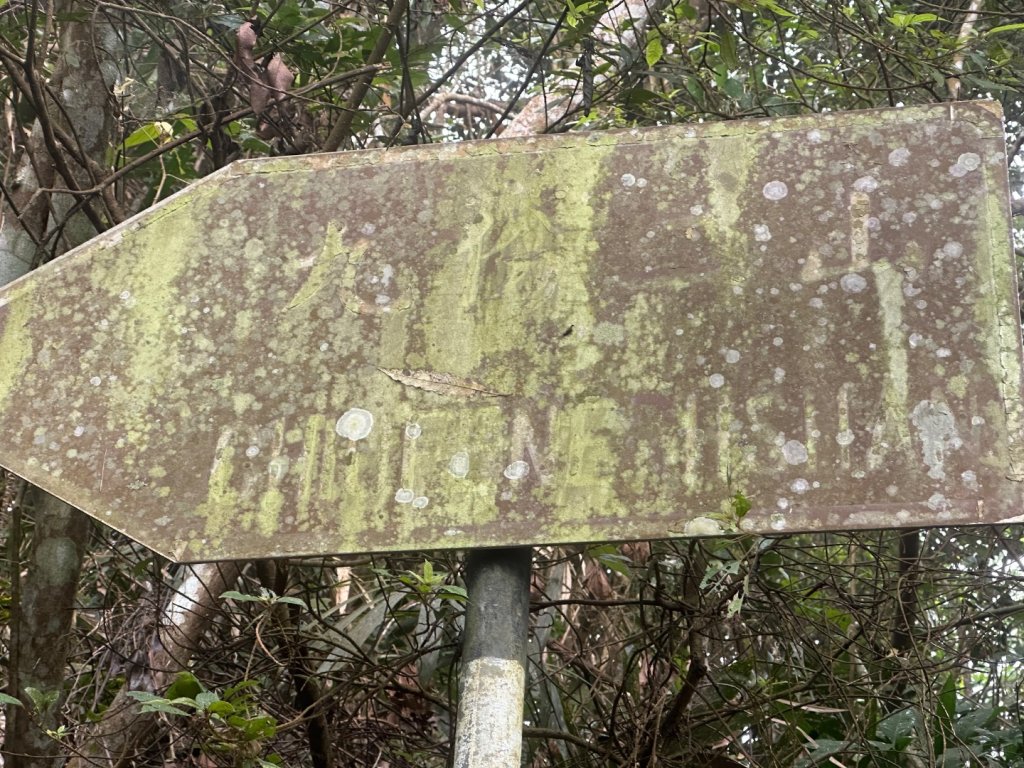 九份二山_2601164