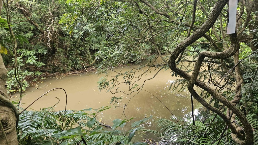 20250902大湖山東南峰-康樂山北峰-明舉山東峰-安湖公園-火炭坑山(騎車爬山)_2878457