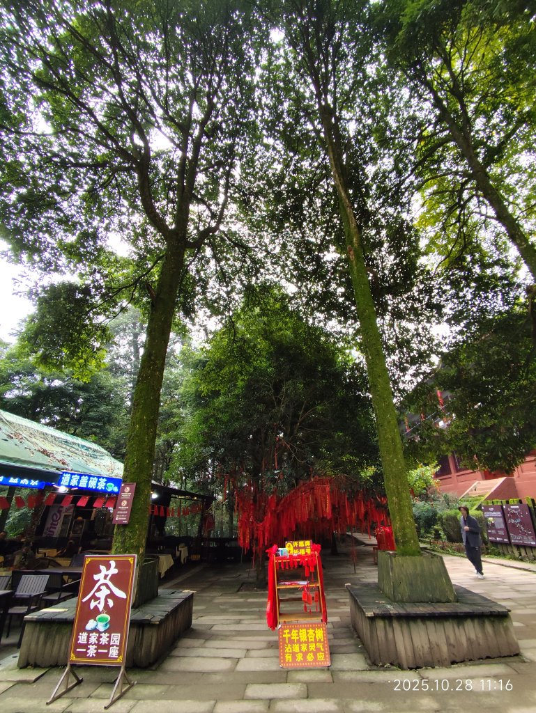 四川青城山→樂山市_2938197