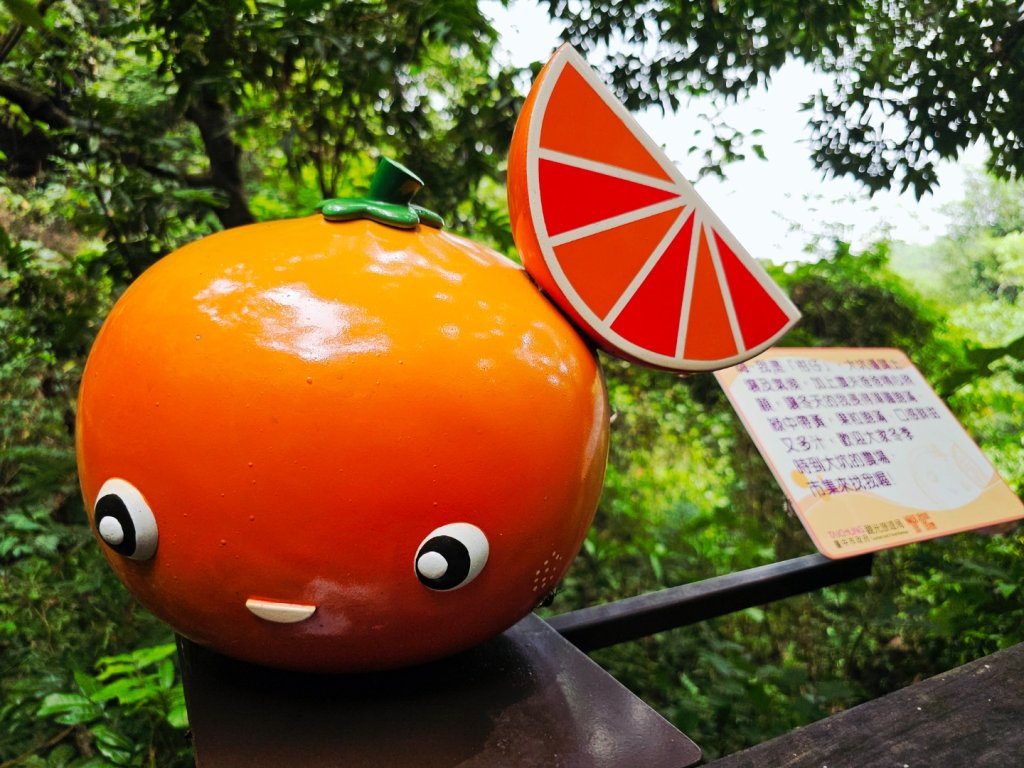 大坑9、10號步道-(台中)臺灣百大必訪步道封面圖