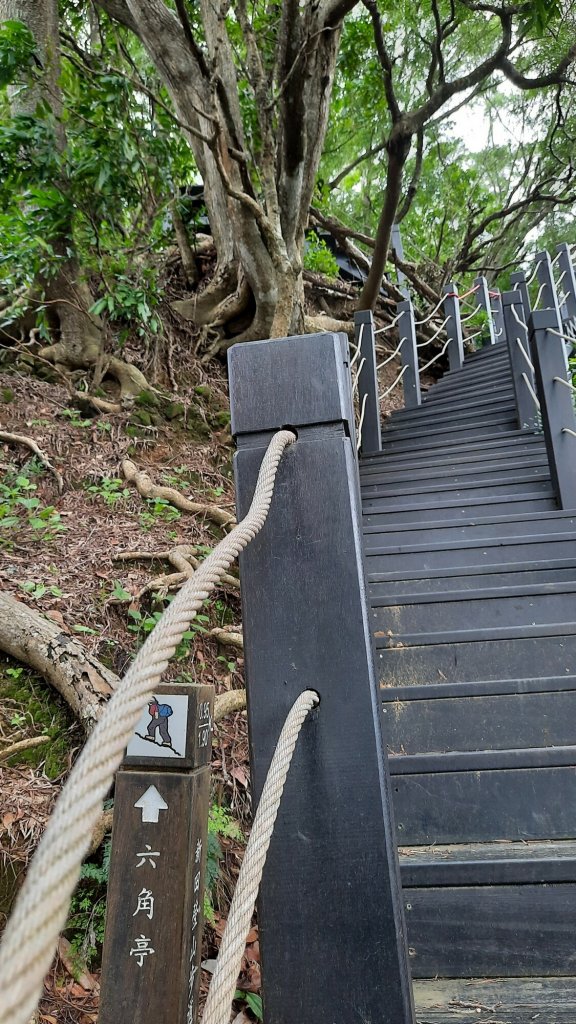 《台中》步道三剩一｜台中新田2號步道20210815_1436754