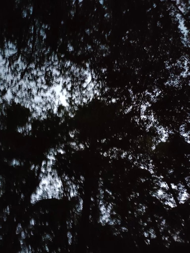 雪季北得拉曼封面圖