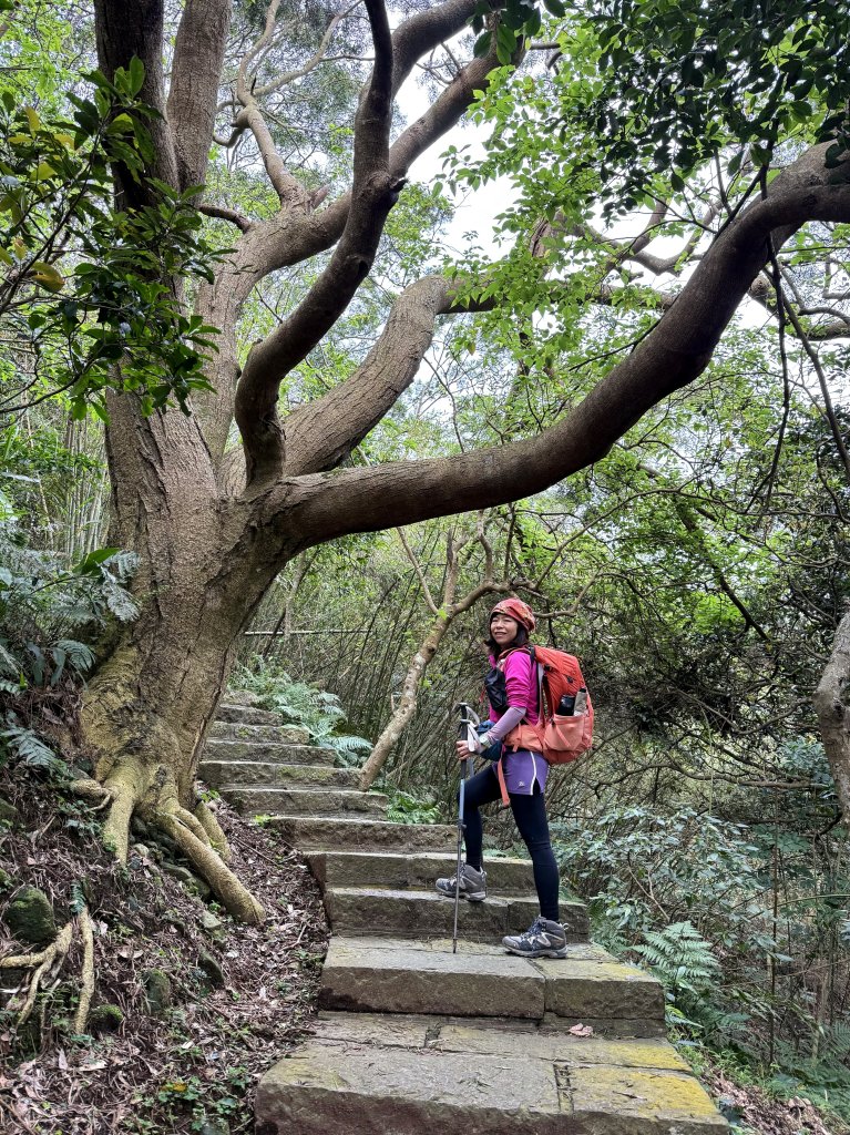 淡水搭渡輪上觀音山+占山O繞 搭公車接渡輪回淡水-20250318_2770629