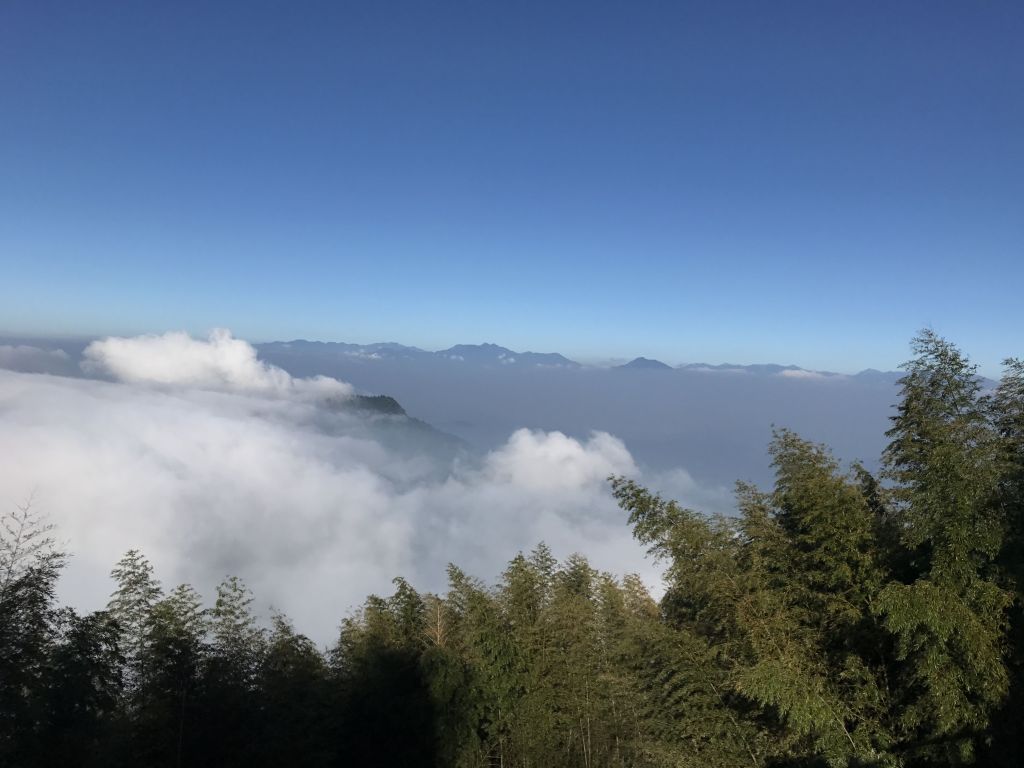 走上集集大山封面圖