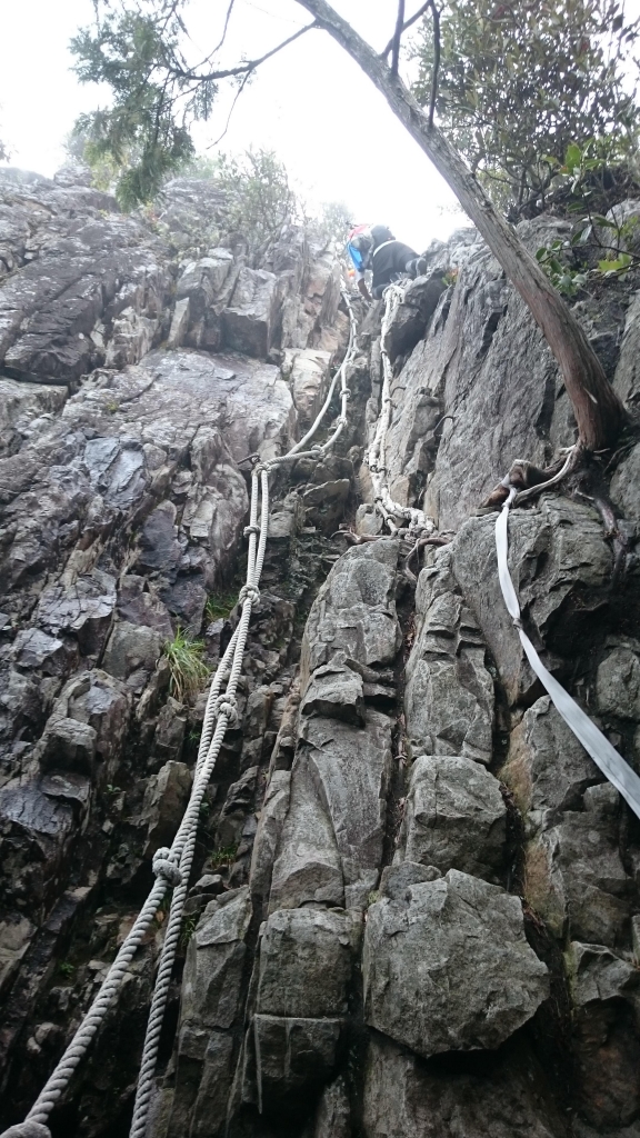 鳶嘴山步道_24424