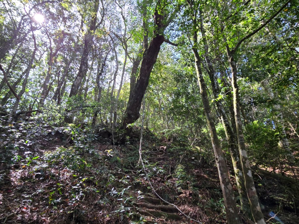 哈堪尼山_2761954