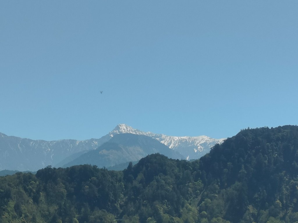 特富野古道>東水西峰>東水山>玉兒山>特富野古道（逆O)_2743774