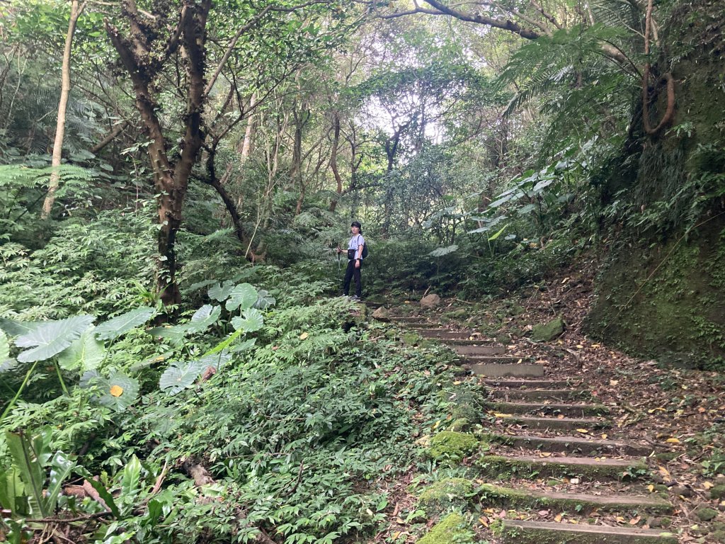 土庫岳_2527743